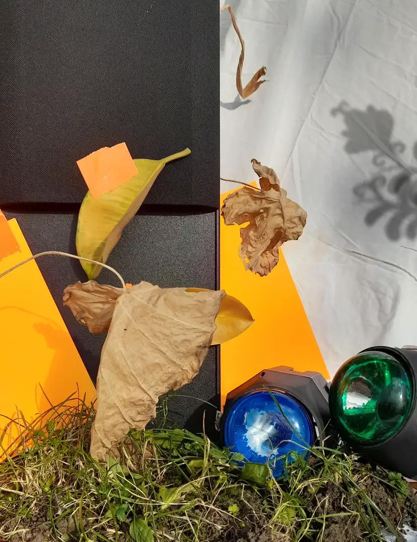 Still Life photograph